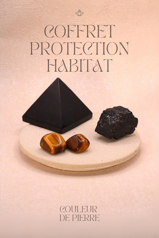 Coffret Protection Habitat